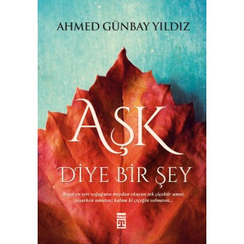 Aşk Diye Bir Şey