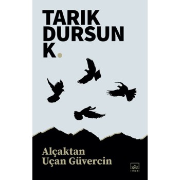 Alçaktan Uçan Güvercin
