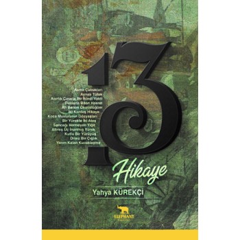 13 Hikaye